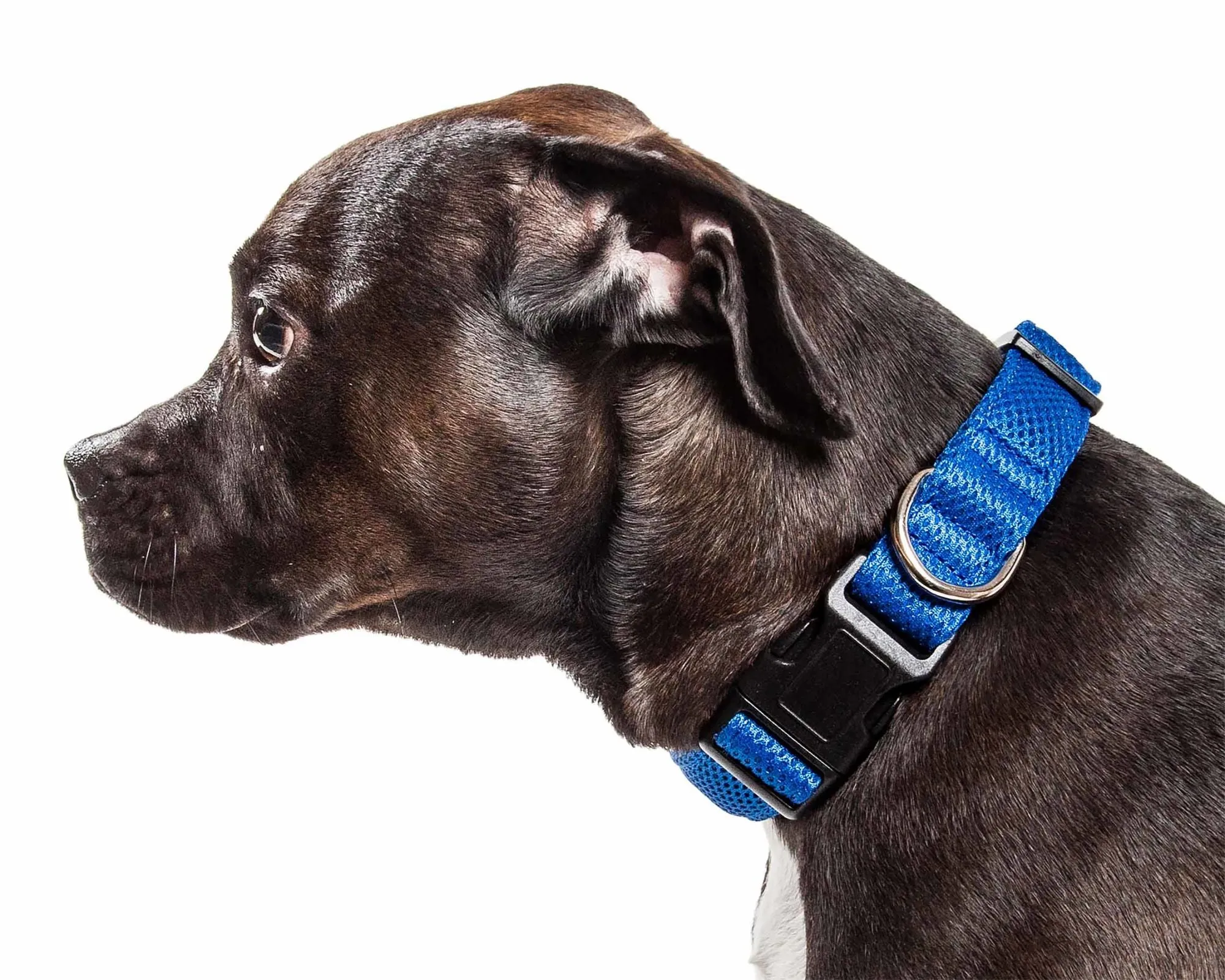 360 Degree Dual Sided Comfortable And Breathable Adjustable Mesh Dog