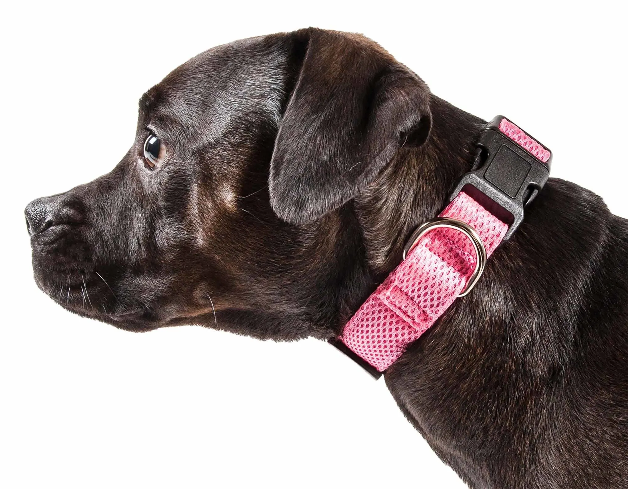 360 Degree Dual Sided Comfortable And Breathable Adjustable Mesh Dog