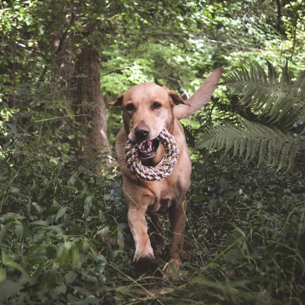 Beco Hemp Rope Dog Toys