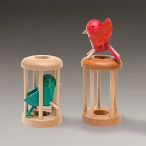 Bird in Cage Puzzle