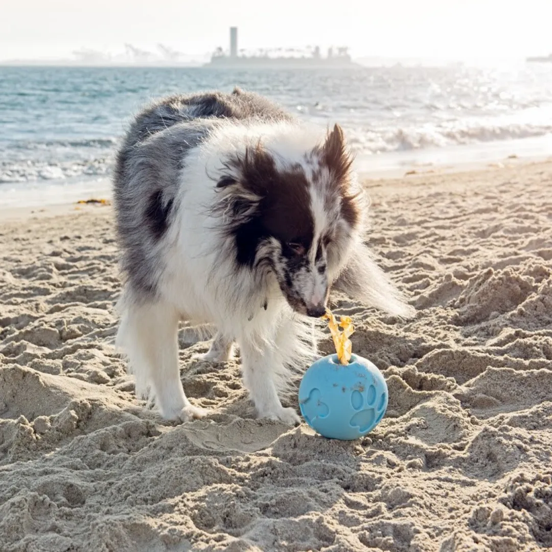 Blue Paw Me! Treat Ball Dispenser and Dog Toy: Engaging Design, Squishy Texture, Easy Rolling, Interactive Play, Keeps Pets Busy, Vanilla Scent, BPA-Free, FDA Approved for Dogs/Cats/Pets