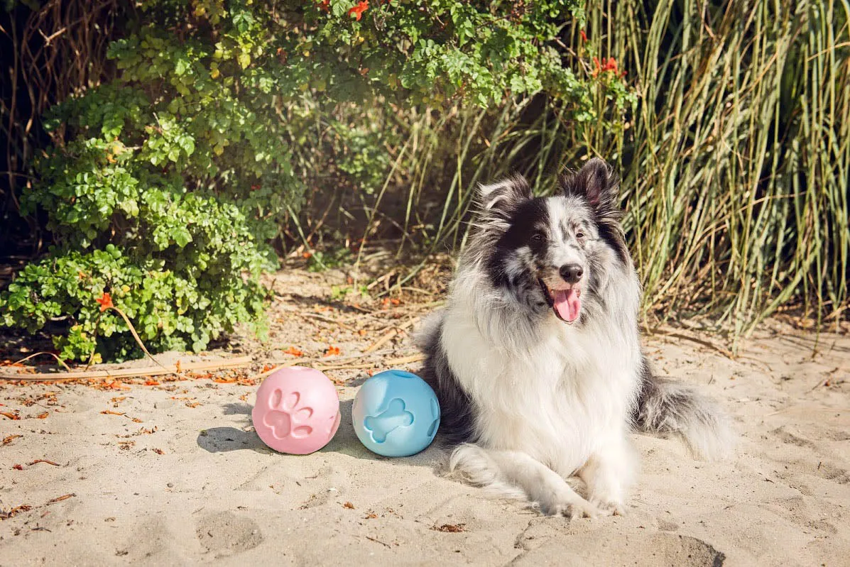 Blue Paw Me! Treat Ball Dispenser and Dog Toy: Engaging Design, Squishy Texture, Easy Rolling, Interactive Play, Keeps Pets Busy, Vanilla Scent, BPA-Free, FDA Approved for Dogs/Cats/Pets