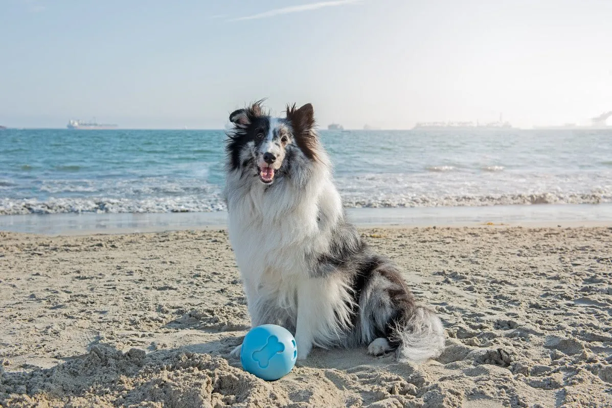 Blue Paw Me! Treat Ball Dispenser and Dog Toy: Engaging Design, Squishy Texture, Easy Rolling, Interactive Play, Keeps Pets Busy, Vanilla Scent, BPA-Free, FDA Approved for Dogs/Cats/Pets