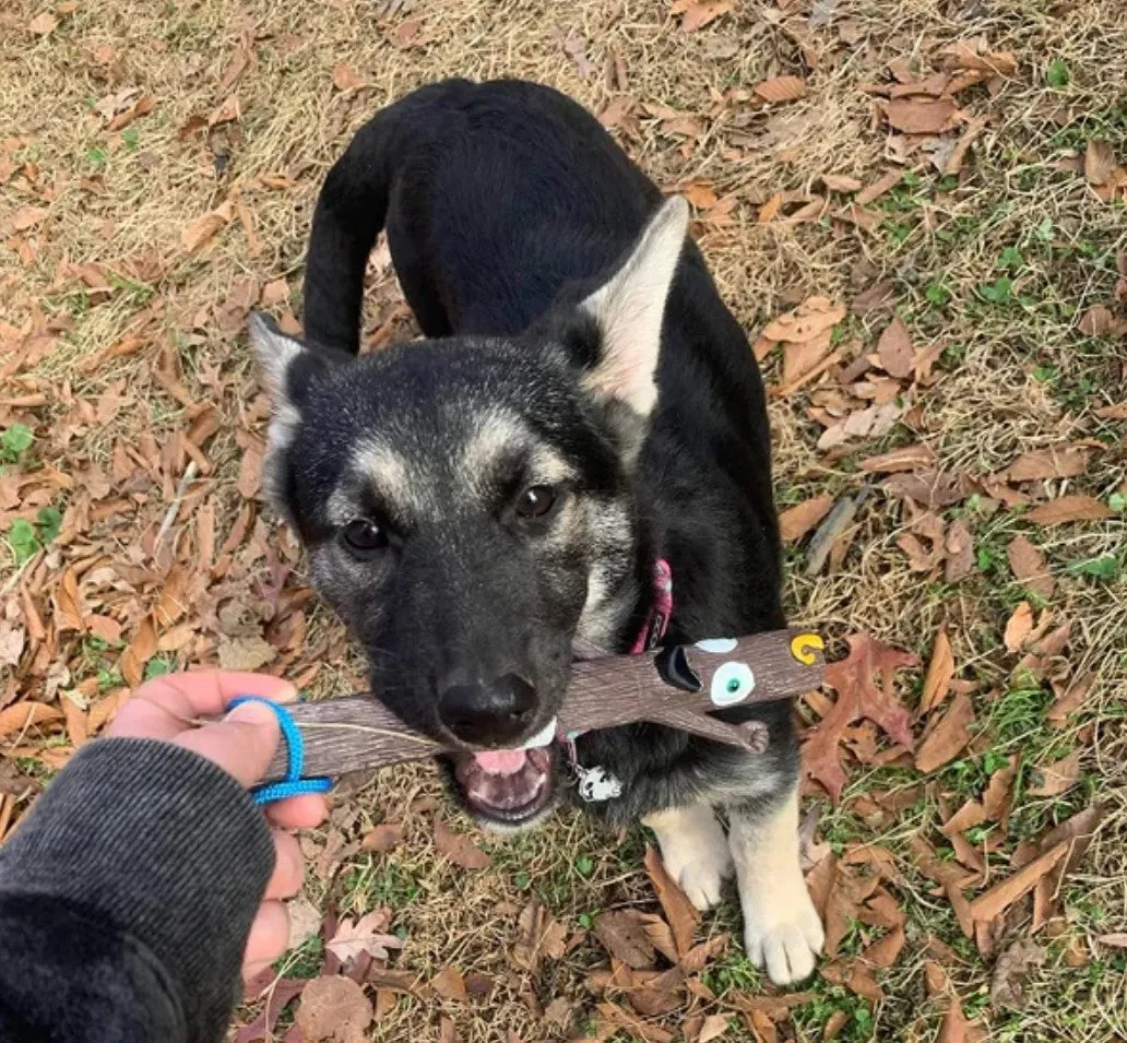 DOOG The Stick Family Baby Barkley Fetch Toy