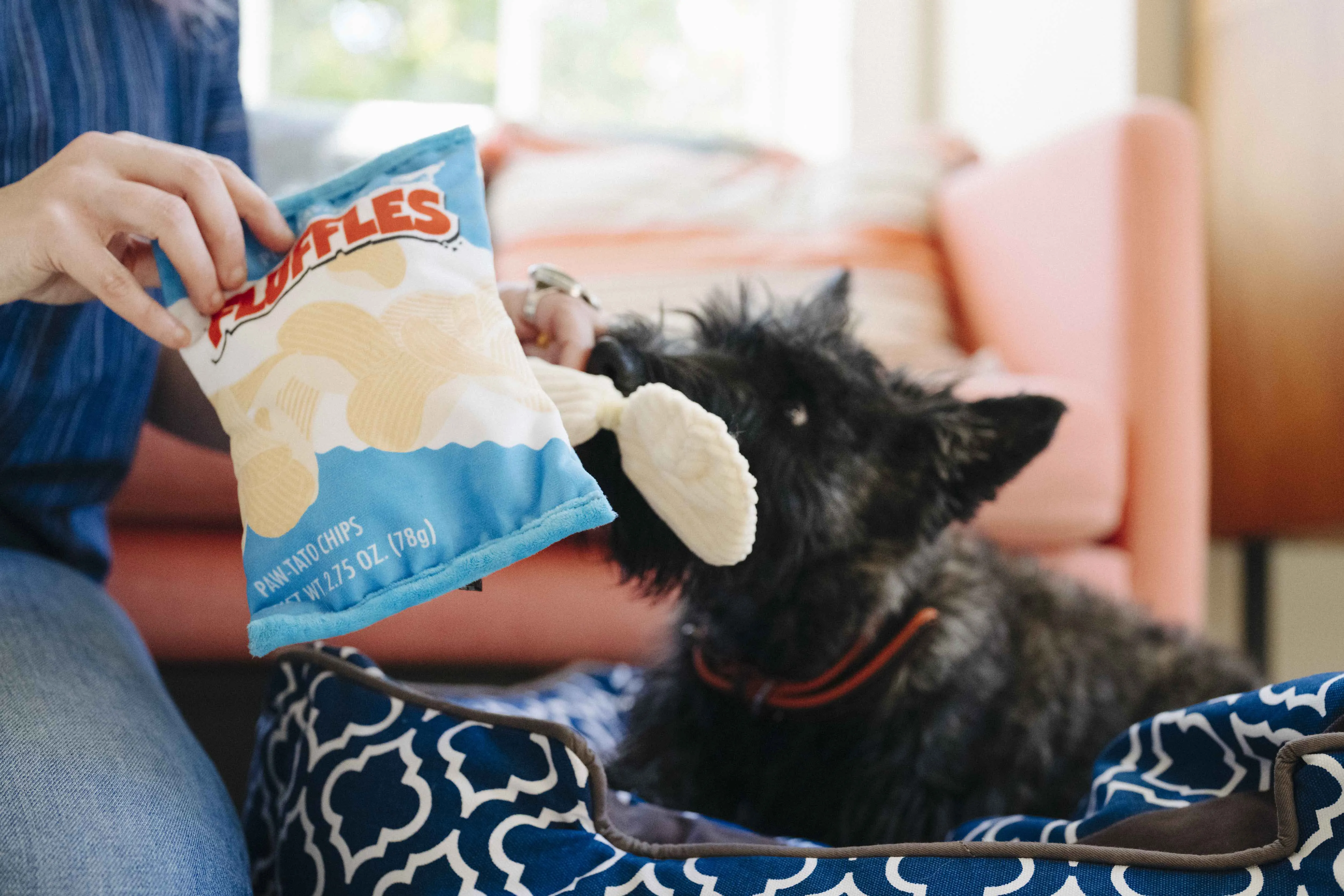 Fluffles Chips Squeaky Nosework Plush Toy