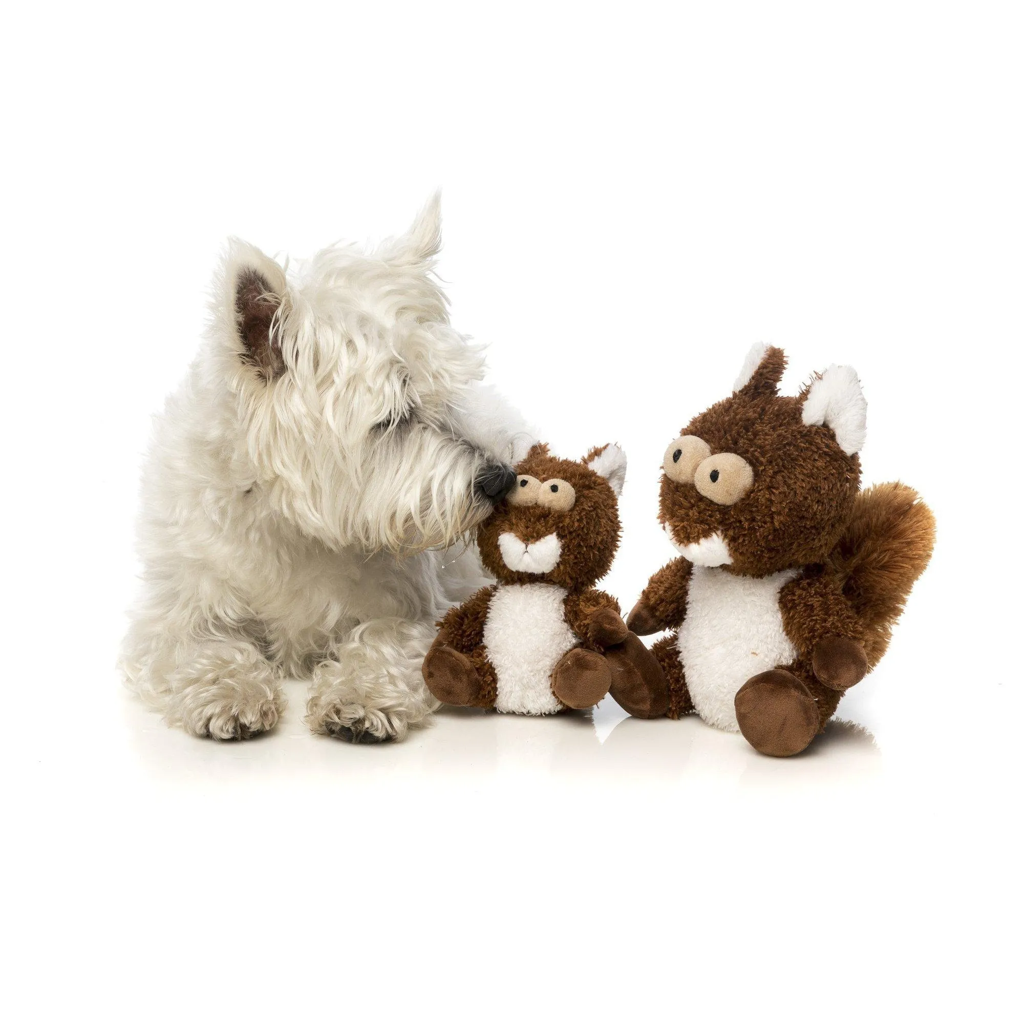 FuzzYard | Nuts the Squirrel Plush Dog Toy - Plush Dog Toy