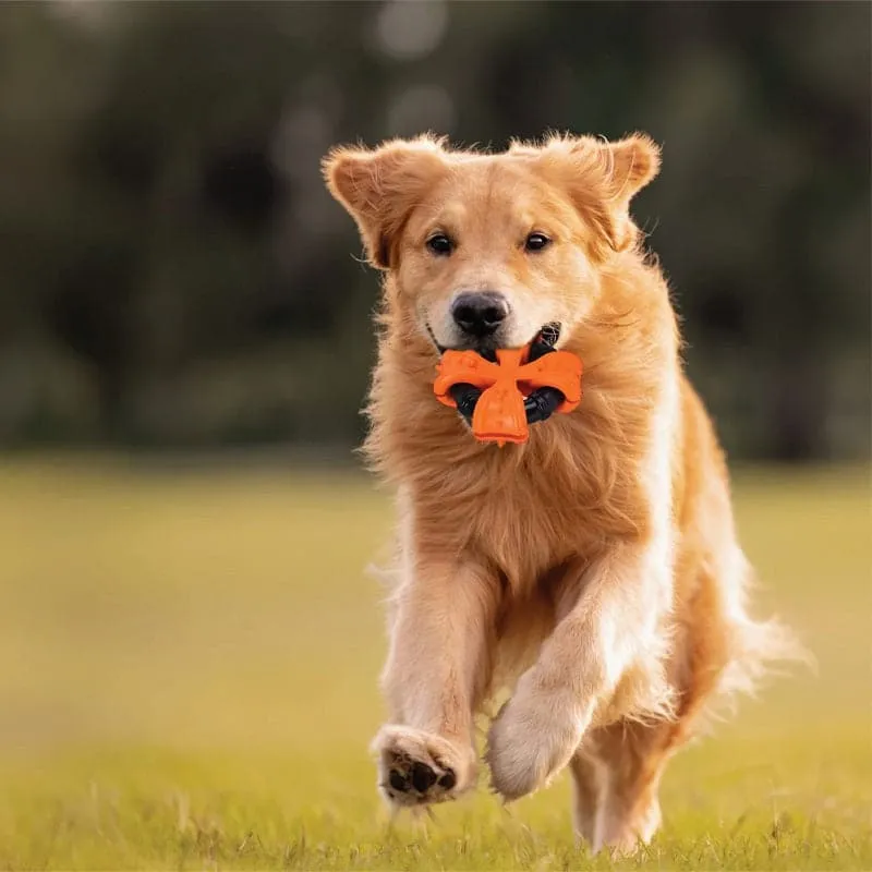 Goofy Tails X-Tyre Chew Toy for Medium and Aggressive Chewers Dogs