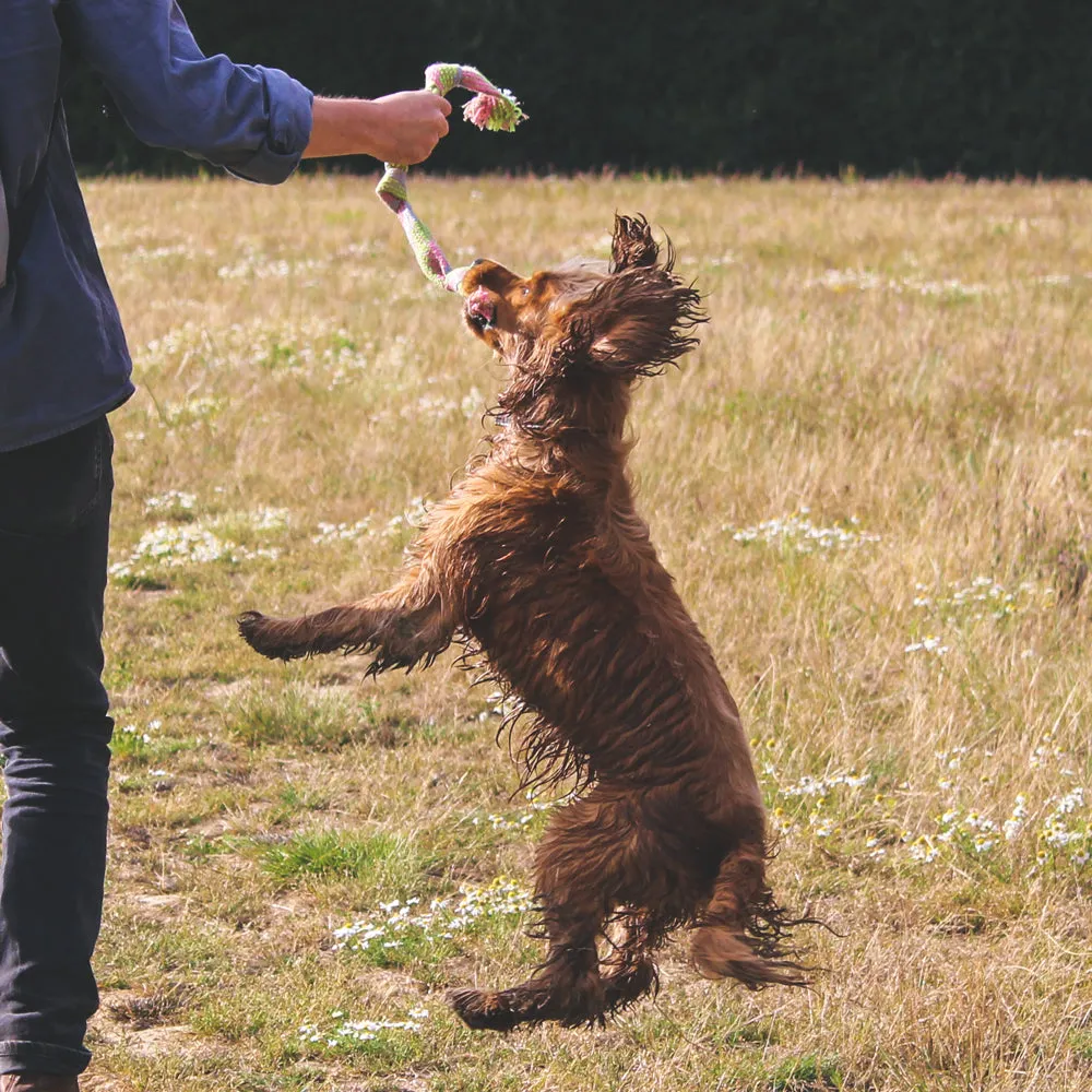 Hemp Squeaky Rope Dog Toy