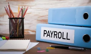 HR & Payroll Management with International Open Academy