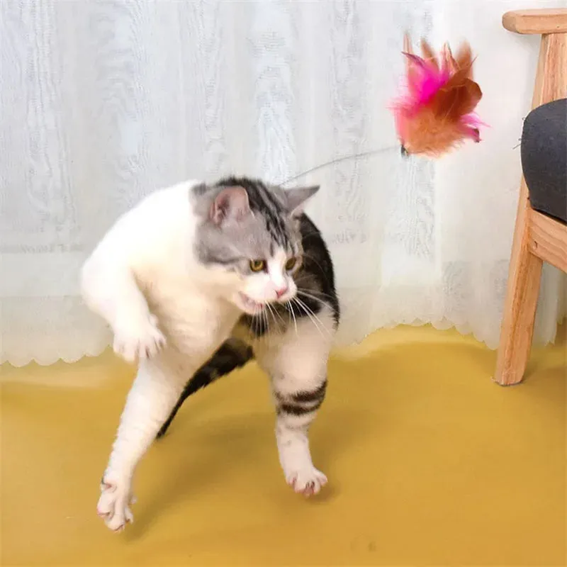 Interactive Cat Teaser Toy