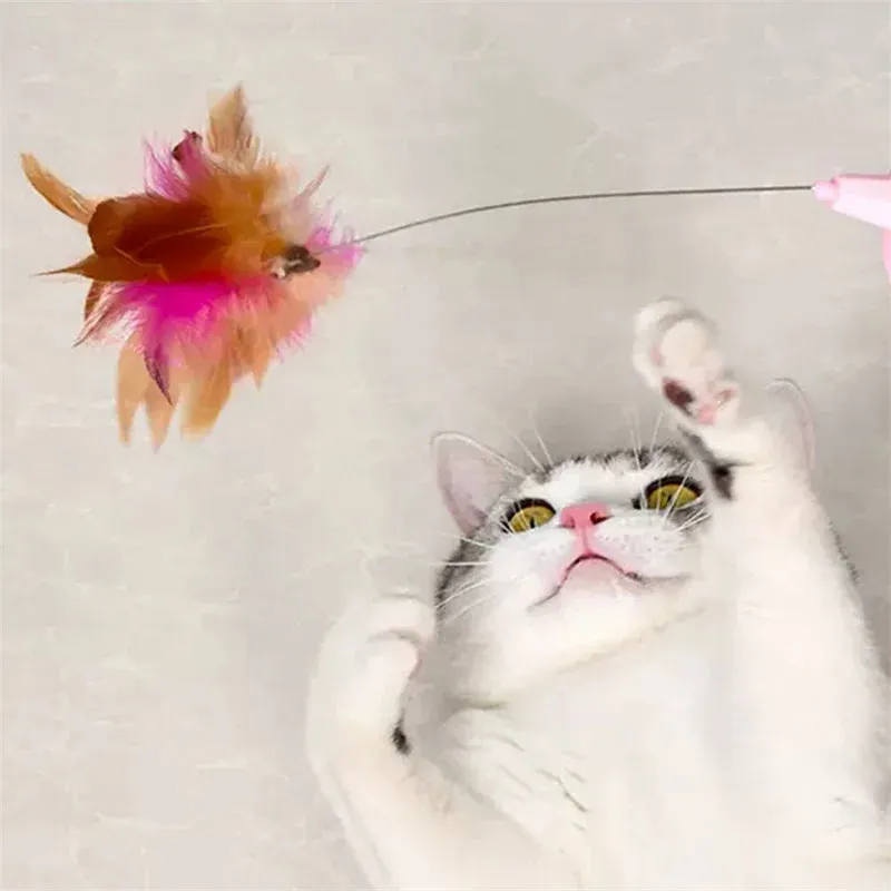 Interactive Cat Teaser Toy