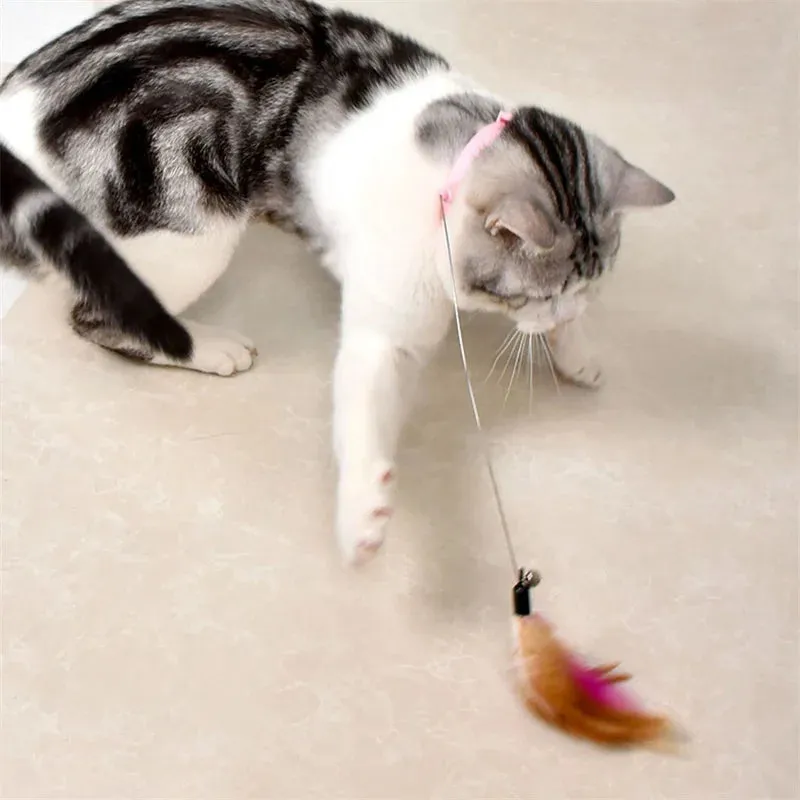 Interactive Cat Teaser Toy