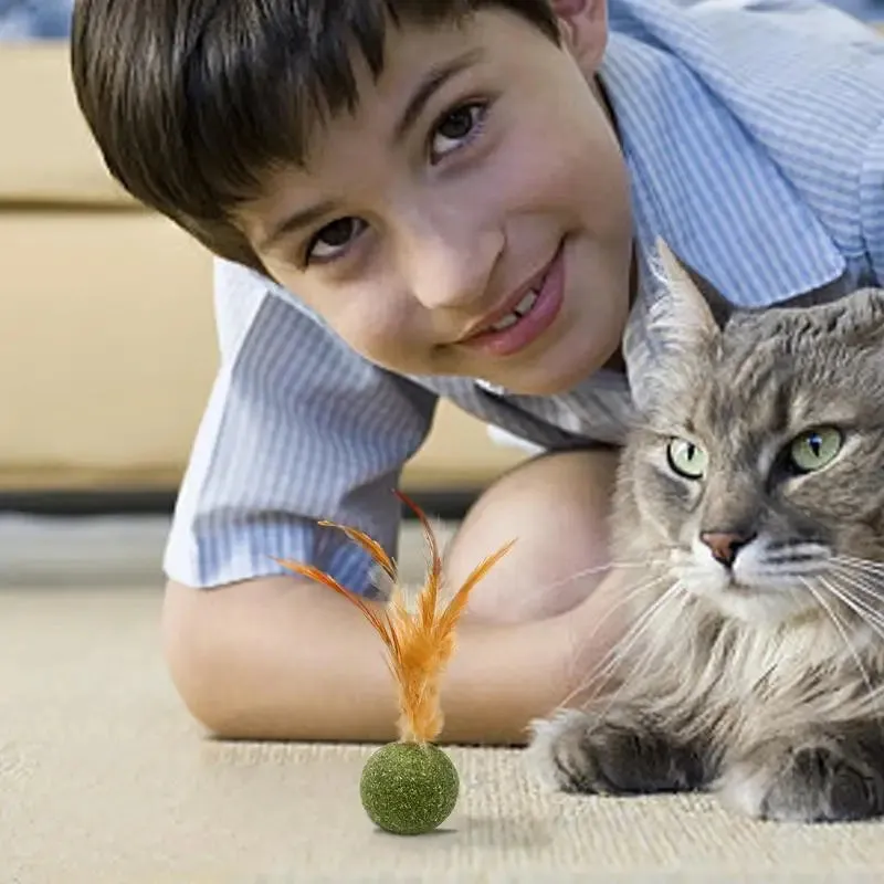 Interactive Catnip Feather Ball