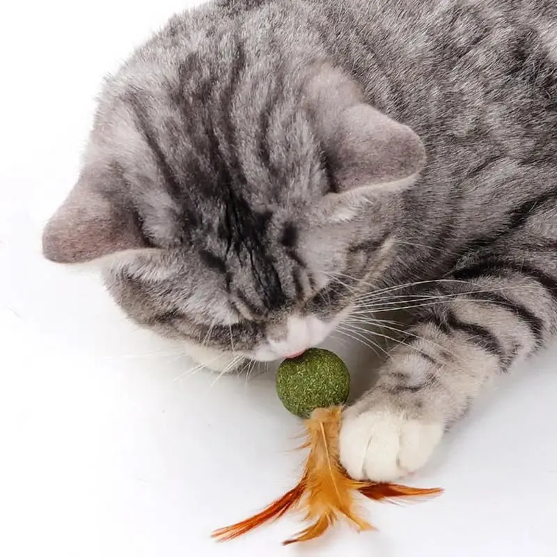 Interactive Catnip Feather Ball