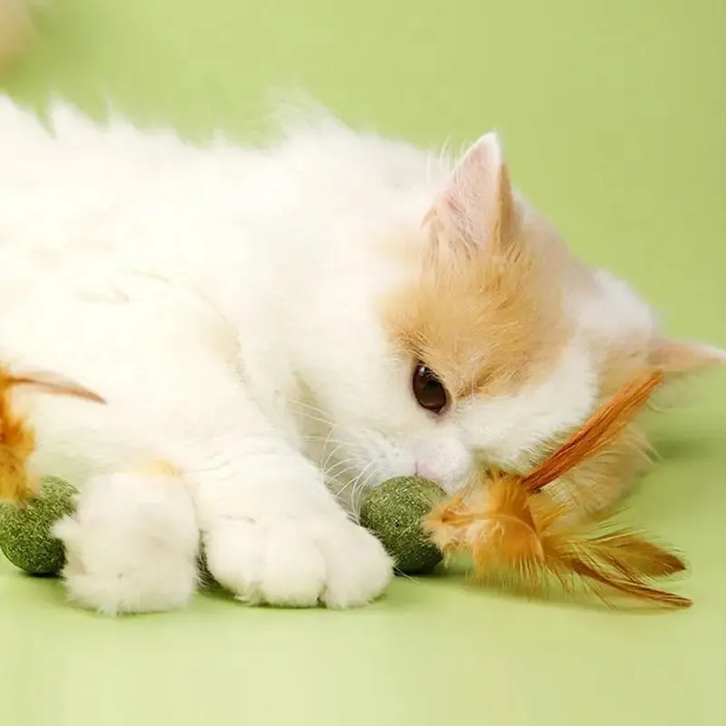 Interactive Catnip Feather Ball