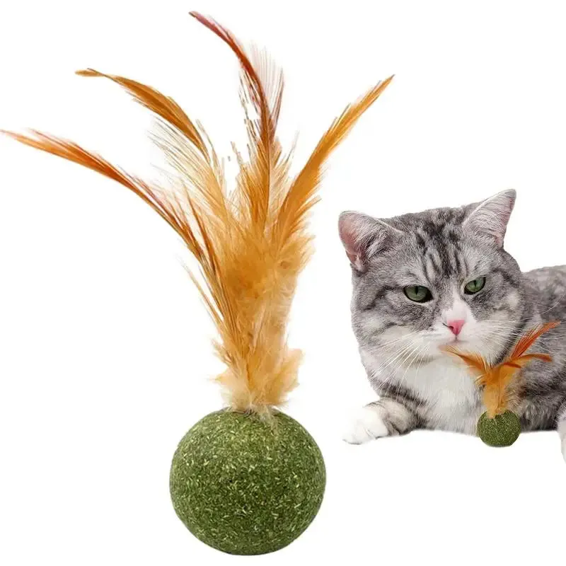 Interactive Catnip Feather Ball