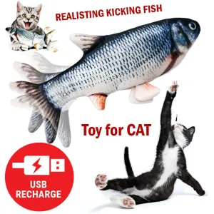 Interactive Electric Fish Cat Toy