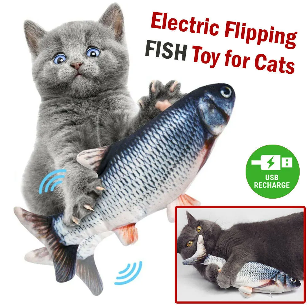 Interactive Electric Fish Cat Toy