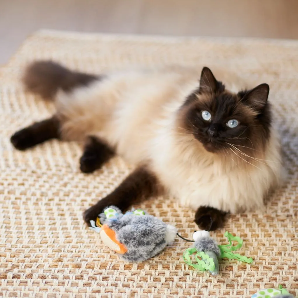 Kazoo Hungry Bunny Cat Toy