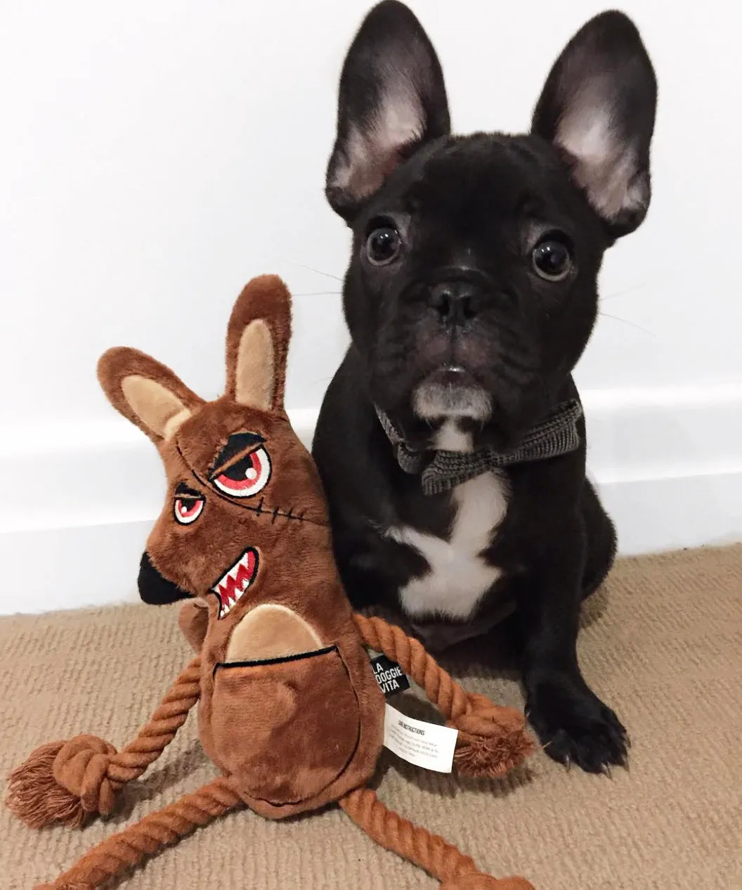 Killer Roo Plush Rope Toy With Squeaker