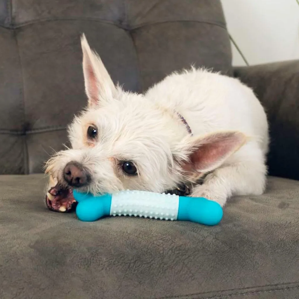 KONG Duets Dental Stick Toy for Small Dogs