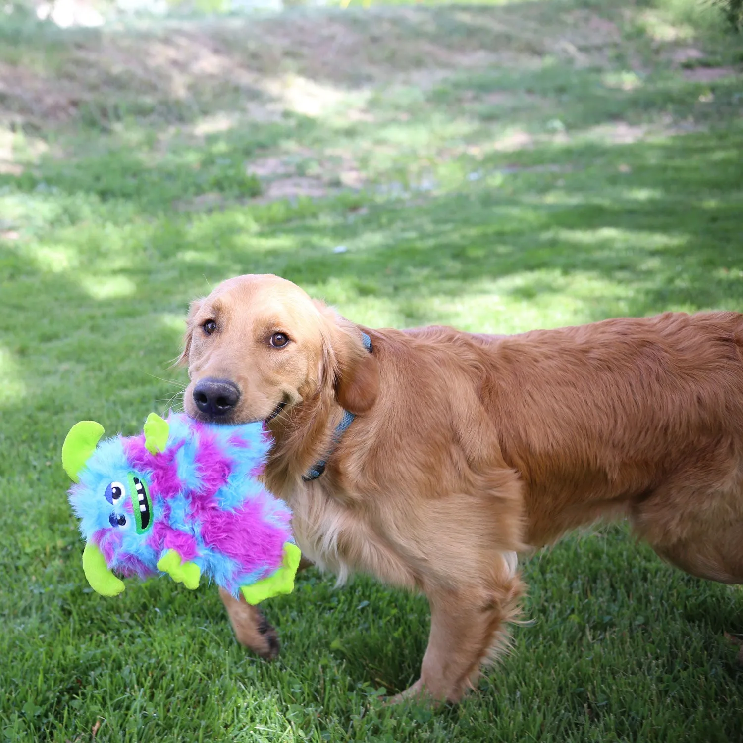 Kong Frizzles