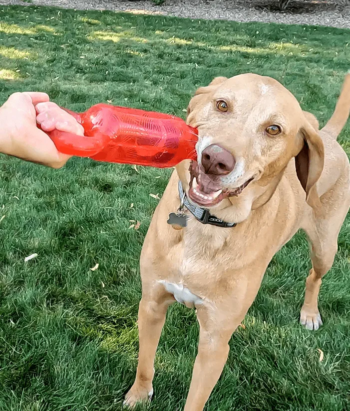 Kong - Jumbler Tug