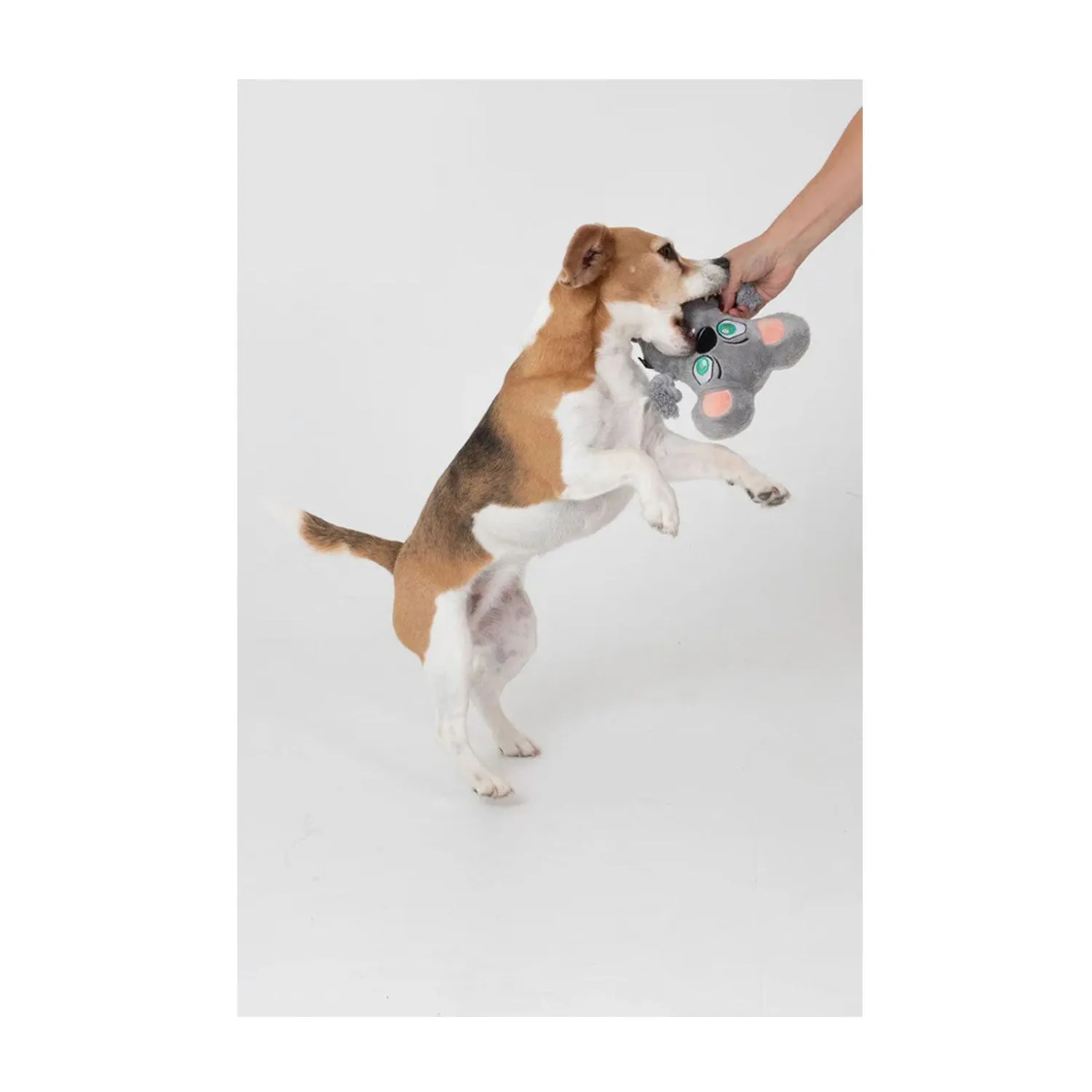 La Doggie Vita Krazy Koala Plush Rope Toy with Squeaker