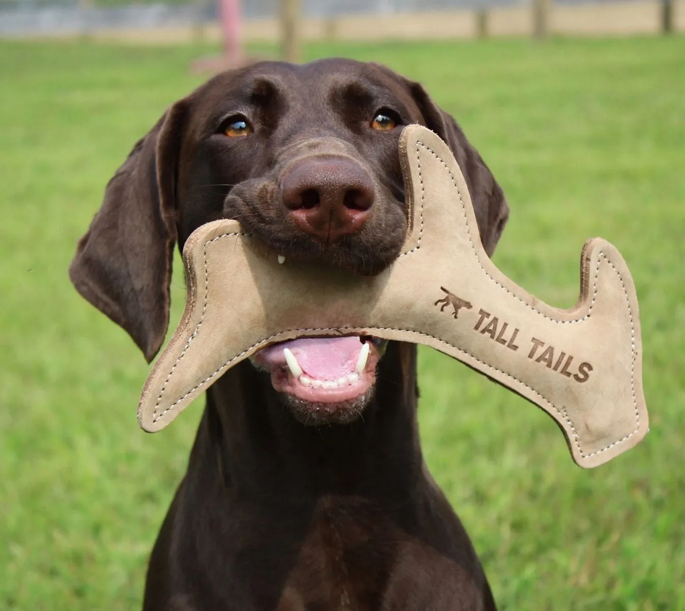 Leather Antler Fetch Dog Toy