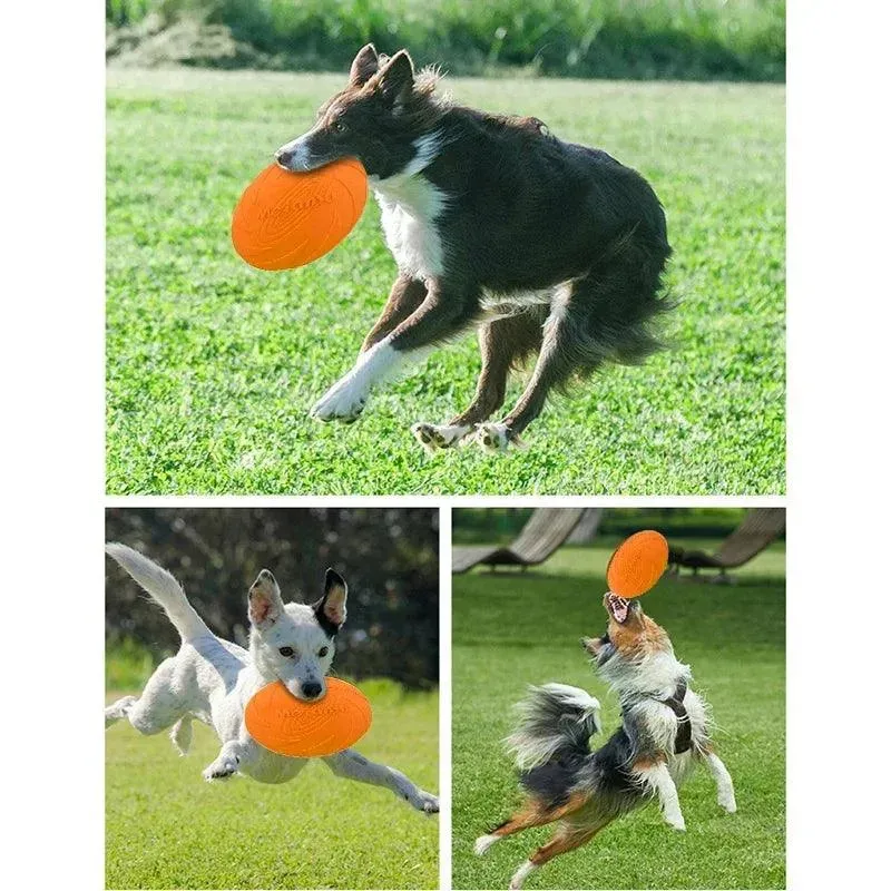 Pet Dog Flying Disc Anti-Chew Training