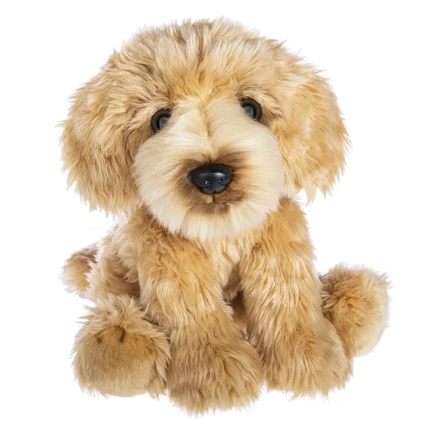 Plush Cream Labradoodle