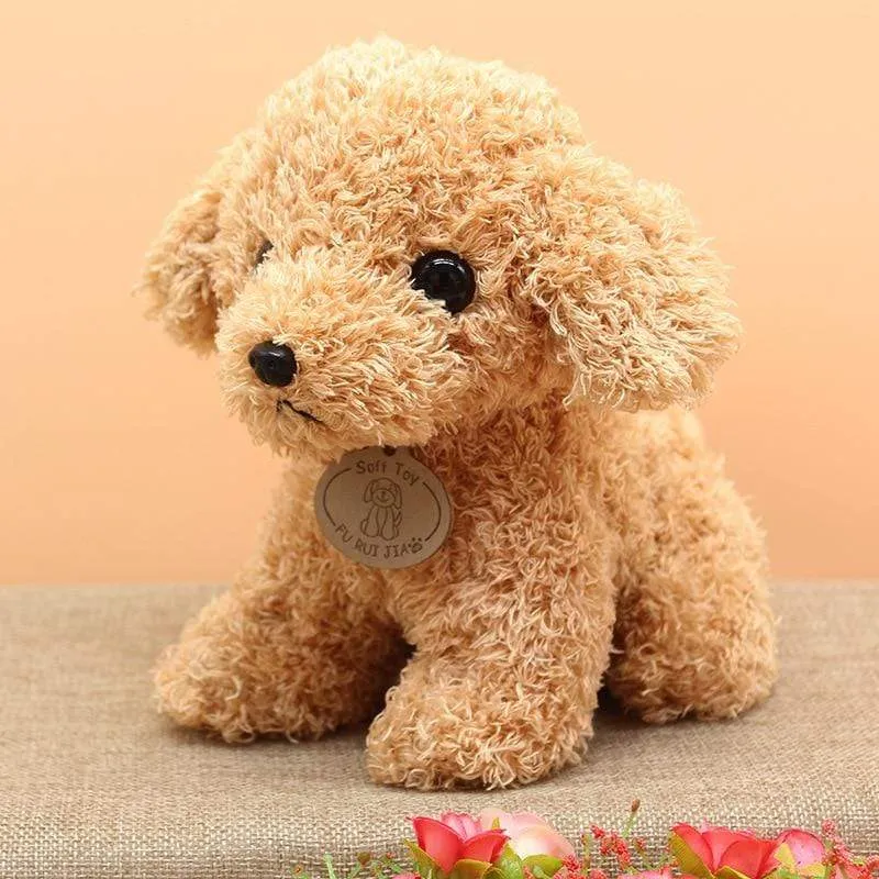 Real Life Teddy Dog Poodle Plush Toys Suffed Animal Doll For Christmas Birthday Gift Free Shipping