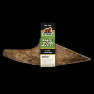 Redbarn Large Palm Moose Antler