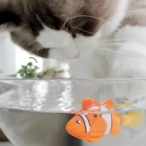 Robotic Fish Toy