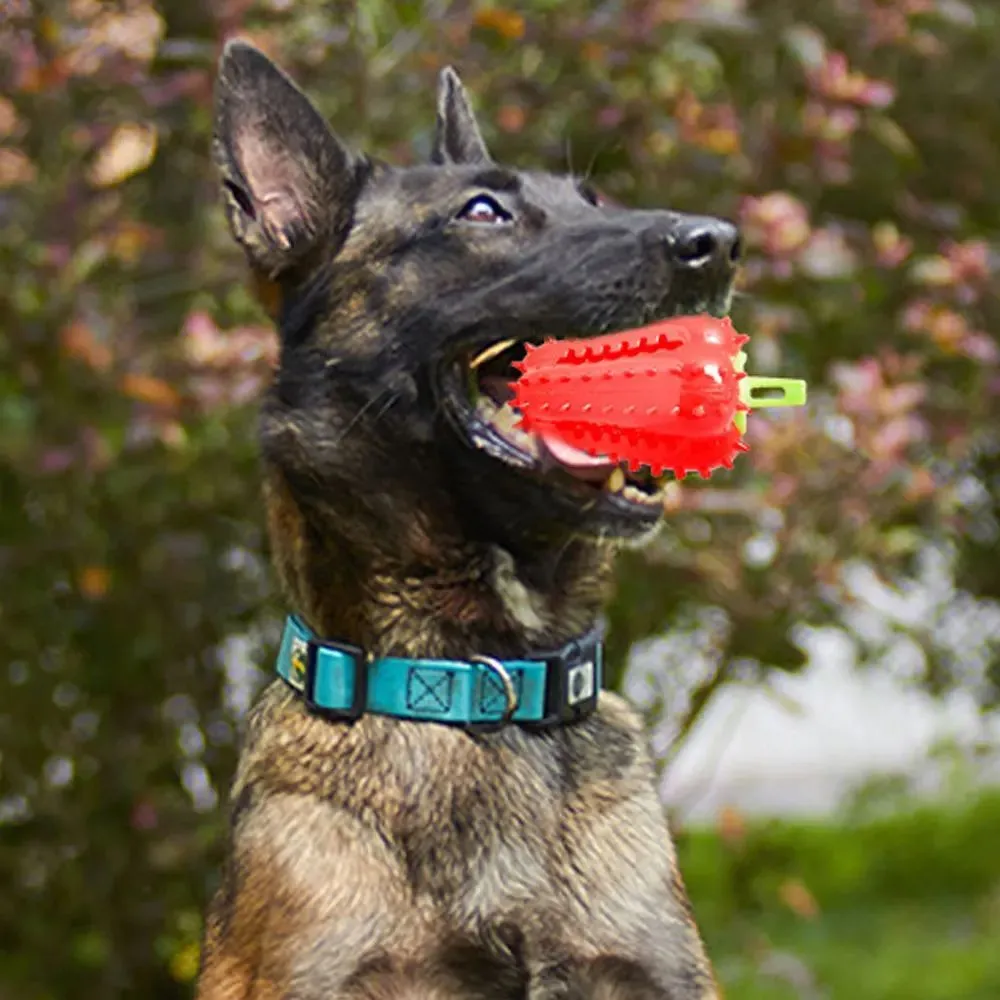 Safe & Comfortable Interactive Dog Chew Toys