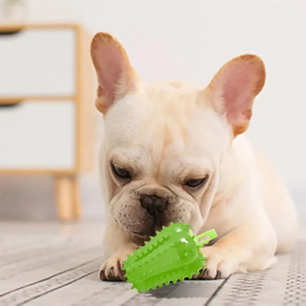 Safe & Comfortable Interactive Dog Chew Toys