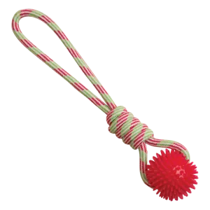 Snugarooz Spike-O-Mite Rope Dog Toy