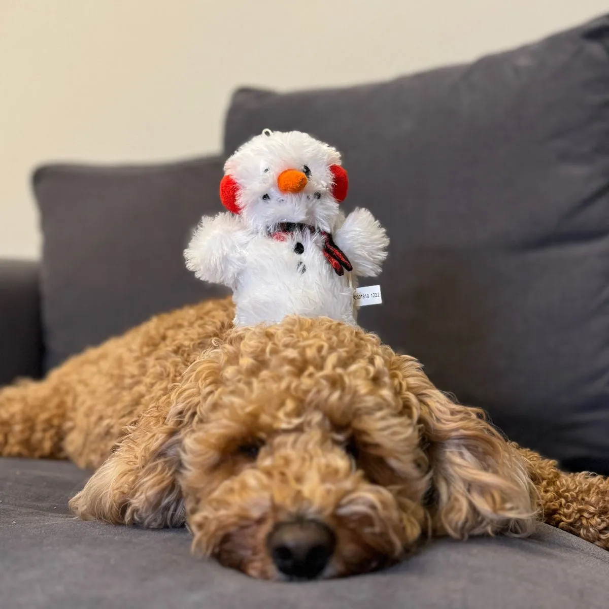 Squeaky Plush Dog Toy: Snowman Pull-Through Rope