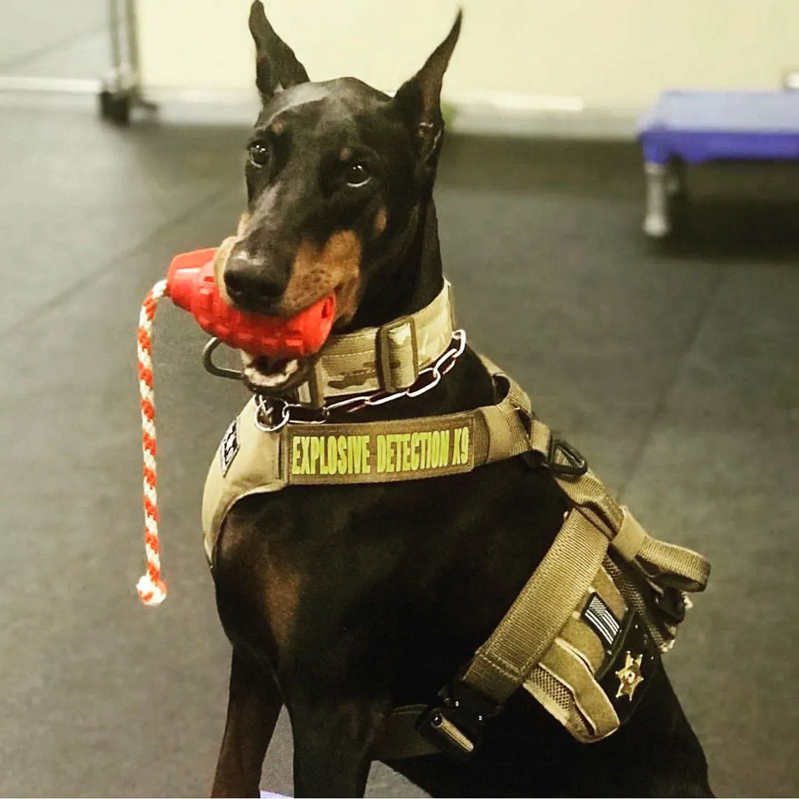 USA-K9 Grenade Chew