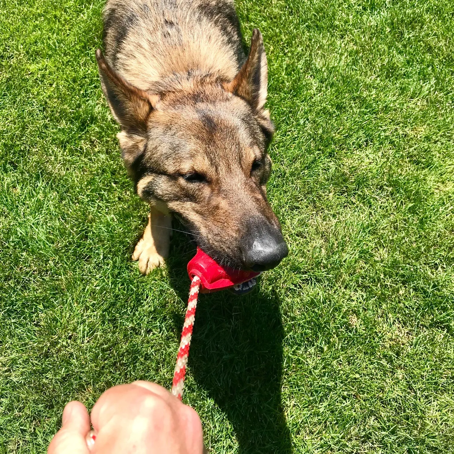 USA-K9 Grenade Chew